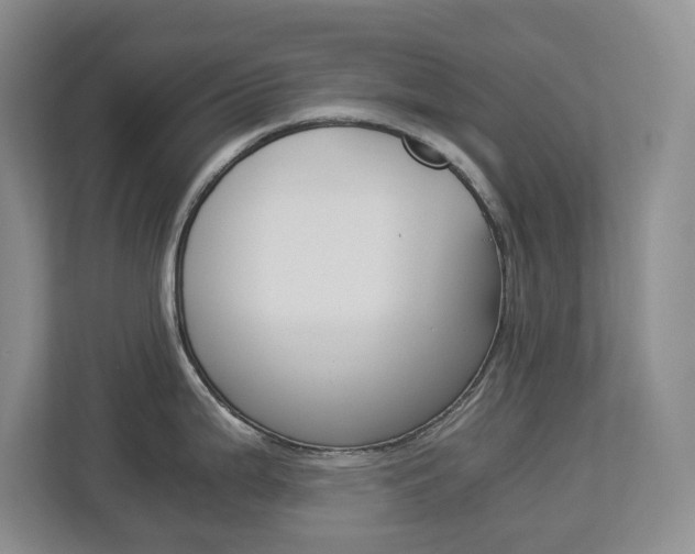 X0000112901199200908211044