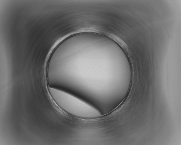 X0000112901200200908211044