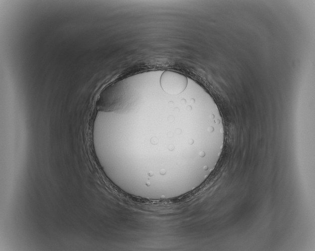 X0000112901201200908211043