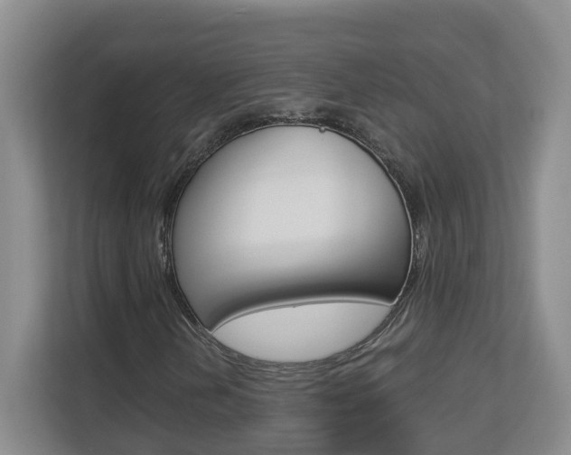 X0000112901202200908211043