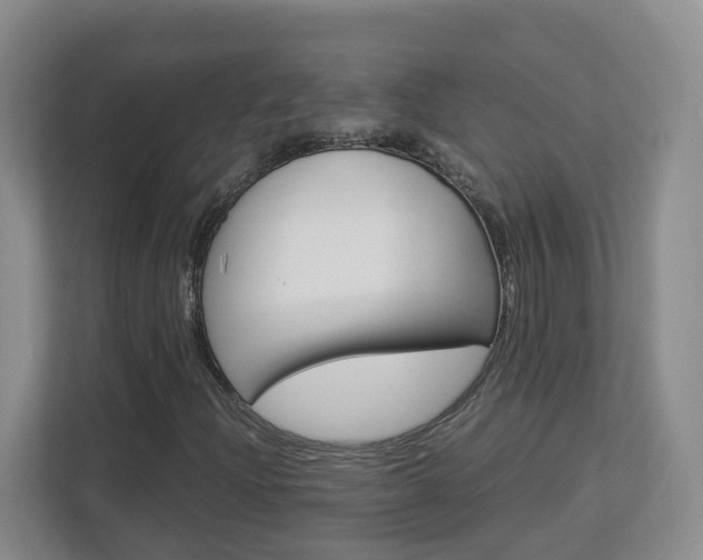 X0000112901204200908211043