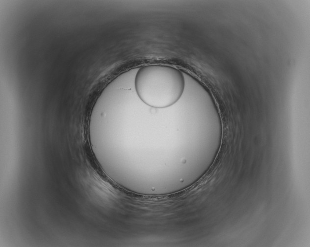 X0000112901205200908211043