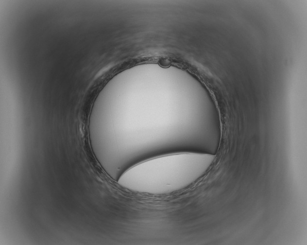 X0000112901206200908211043
