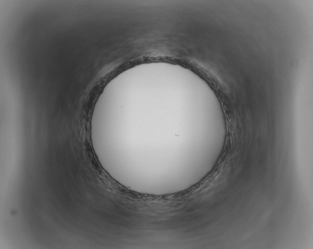 X0000112901207200908211043