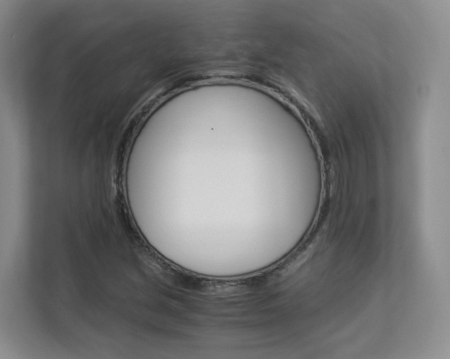 X0000112901213200908211043
