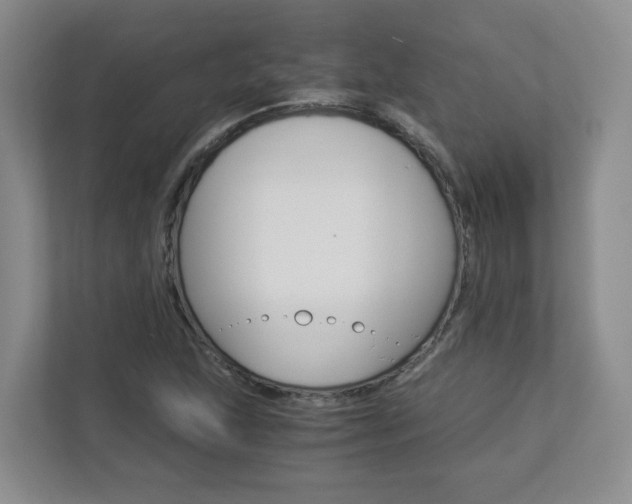 X0000112901215200908211043