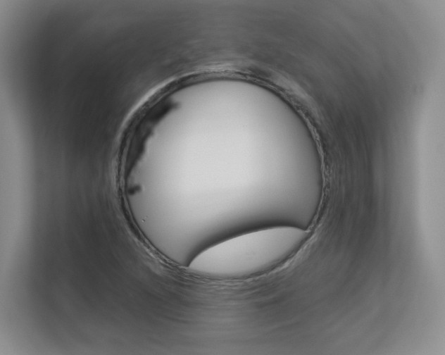 X0000112901216200908211043