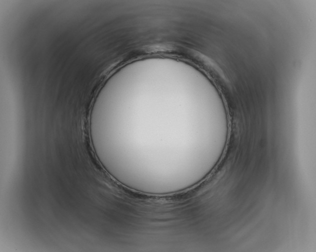 X0000112901217200908211043
