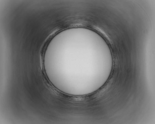 X0000112901219200908211043