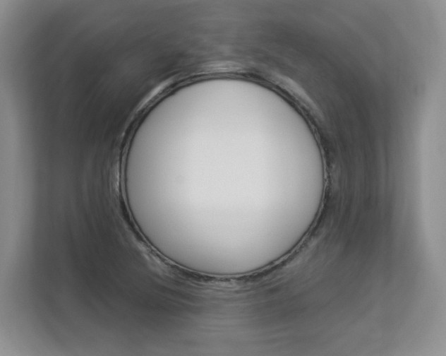 X0000112901220200908211043