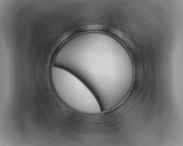 X0000112901221200908211043