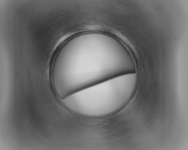 X0000112901222200908211043