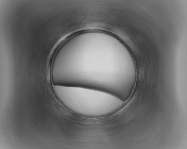 X0000112901224200908211043
