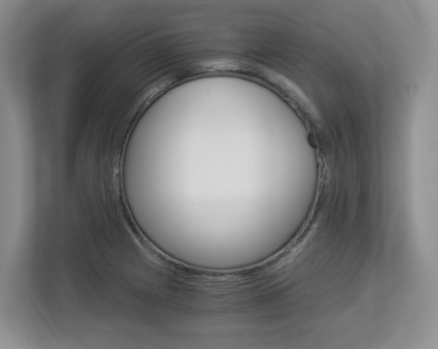 X0000112901225200908211044