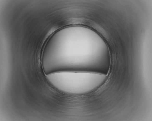 X0000112901226200908211044