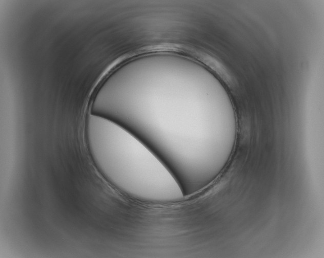 X0000112901228200908211044