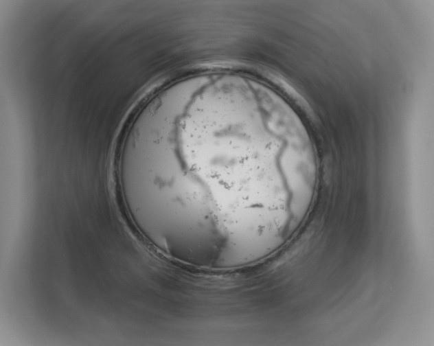 X0000112901229200908211044