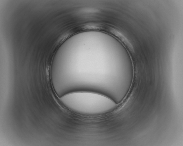 X0000112901233200908211044
