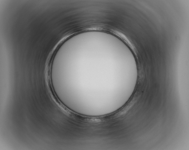 X0000112901235200908211044