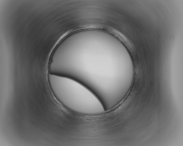 X0000112901236200908211044