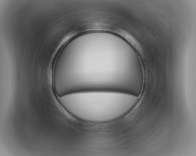X0000112901238200908211044