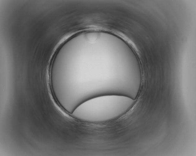 X0000112901239200908211044