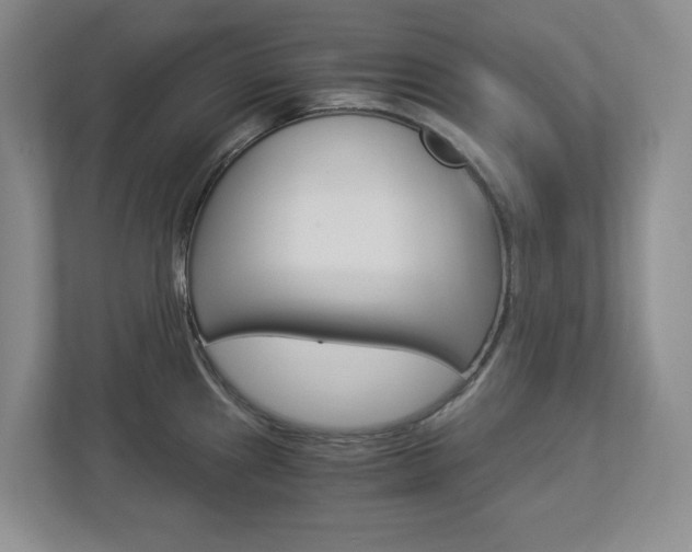 X0000112901241200908211044