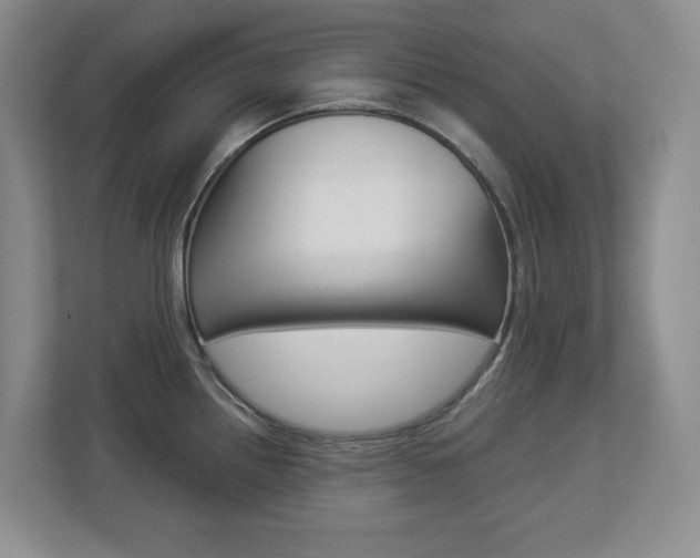 X0000112901242200908211044