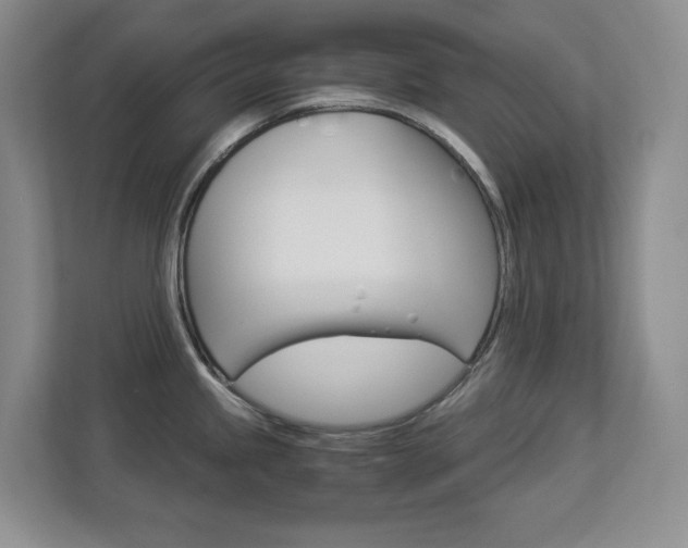 X0000112901245200908211044