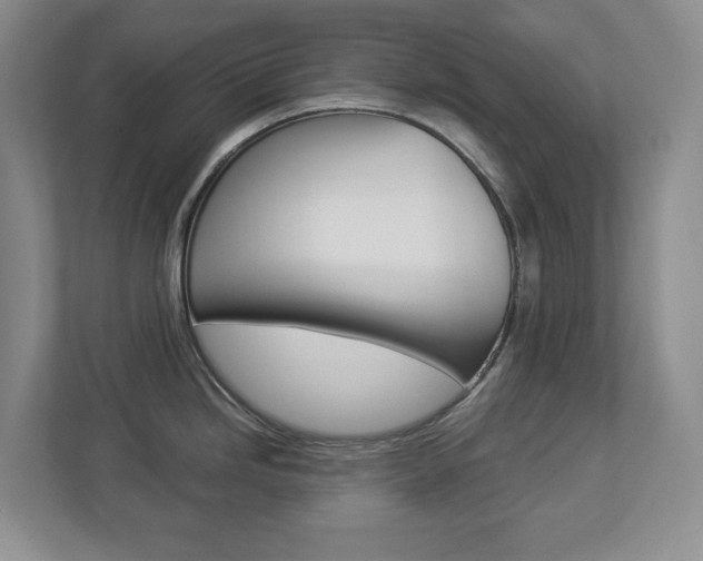 X0000112901246200908211044