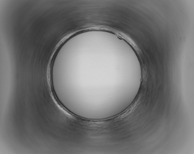 X0000112901247200908211044