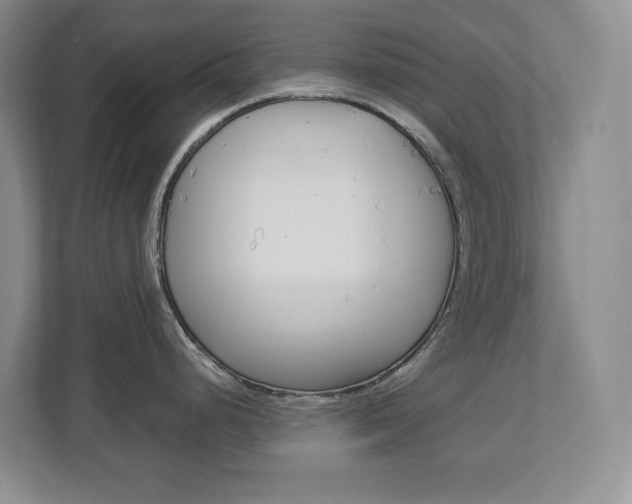 X0000112901248200908211044
