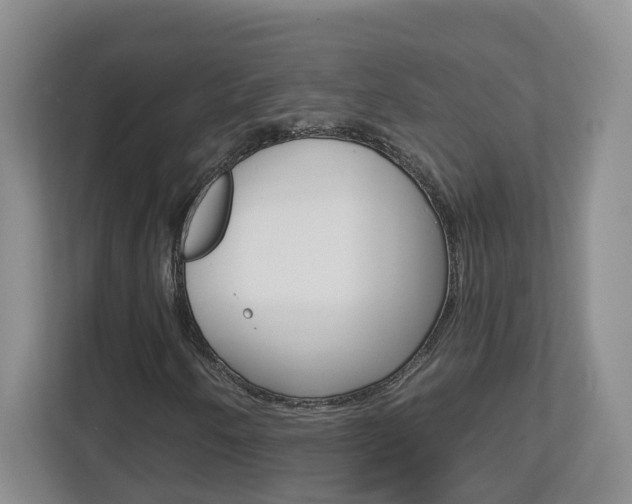 X0000112901250200908211043