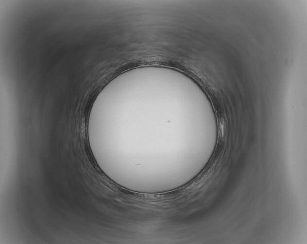 X0000112901251200908211043