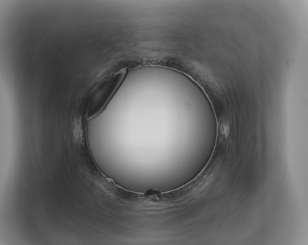 X0000112901252200908211043
