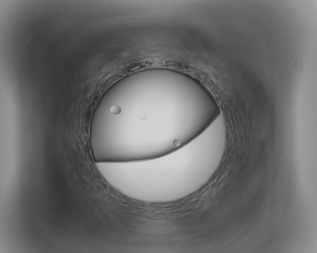 X0000112901253200908211043