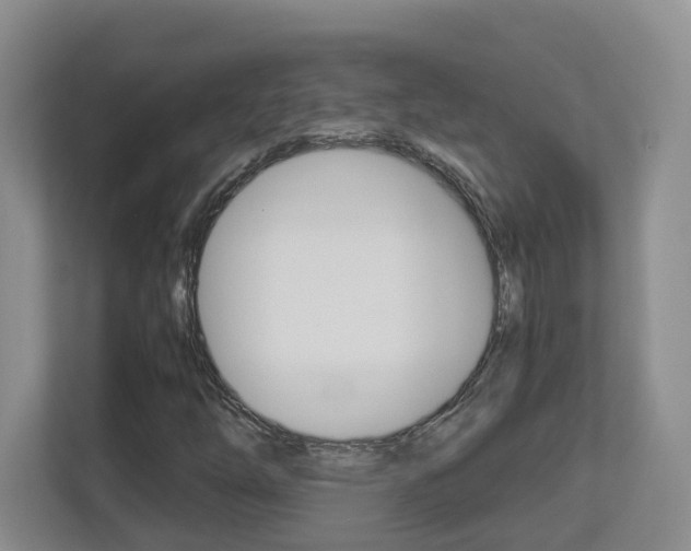 X0000112901254200908211043