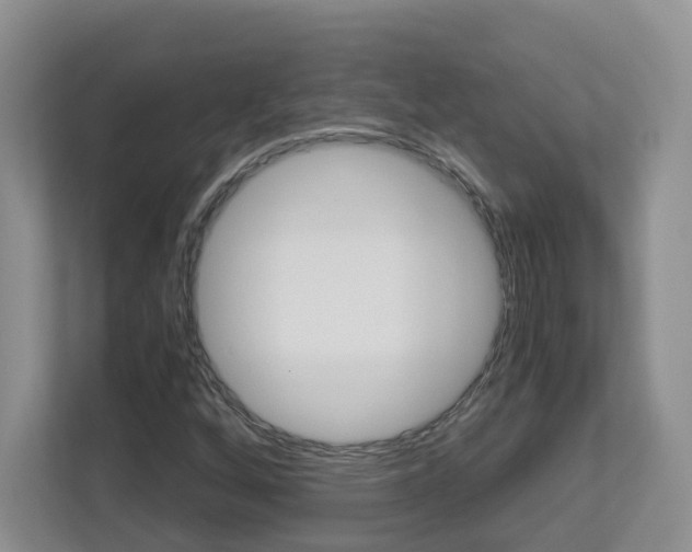 X0000112901256200908211043