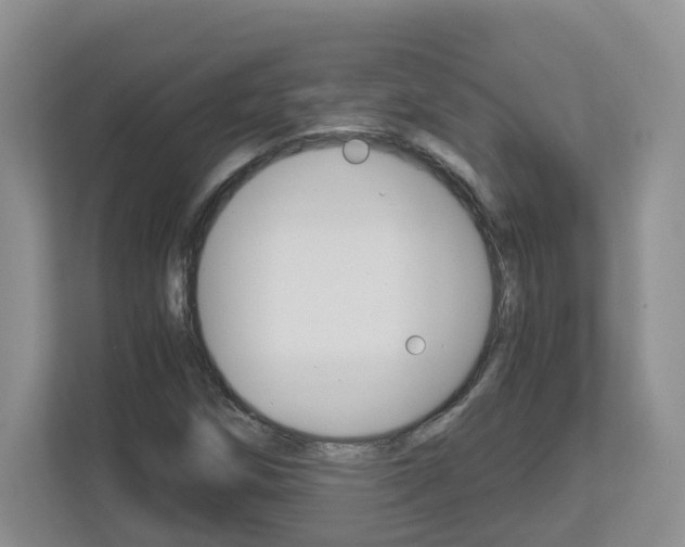 X0000112901258200908211043