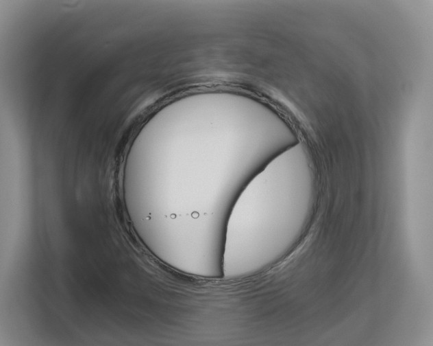 X0000112901259200908211043
