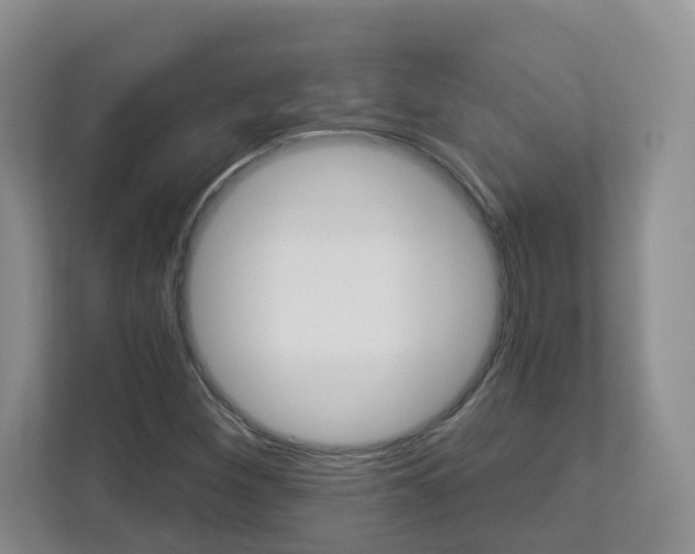 X0000112901260200908211043