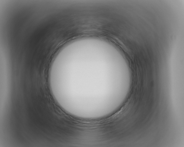 X0000112901261200908211043