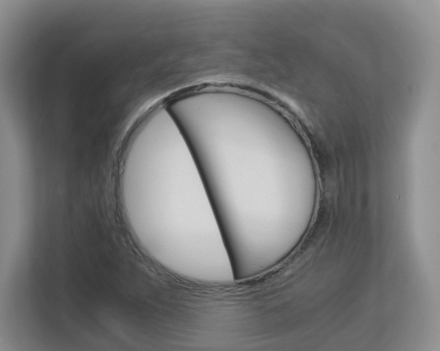 X0000112901263200908211043
