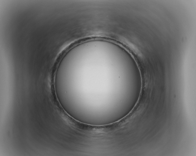 X0000112901264200908211043