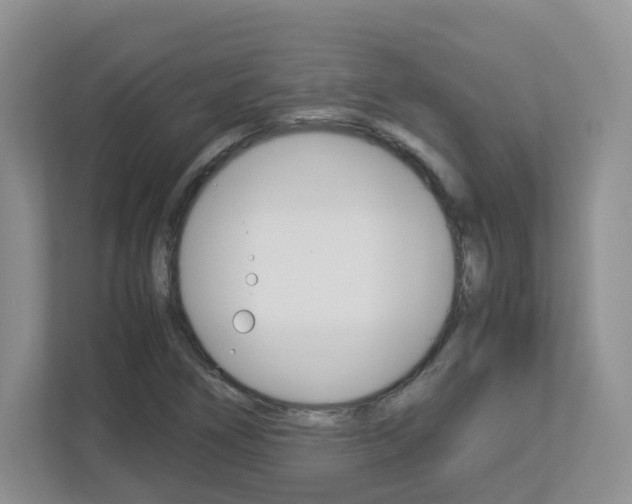 X0000112901266200908211043
