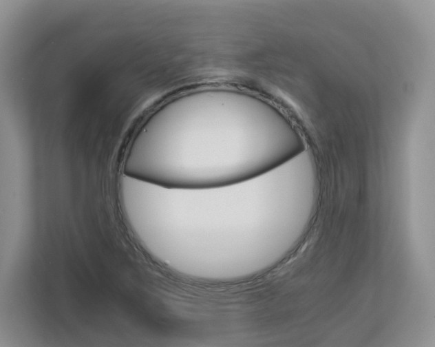 X0000112901267200908211043