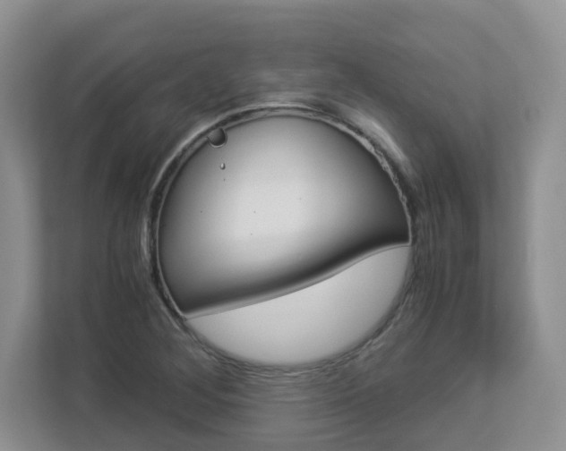 X0000112901268200908211043