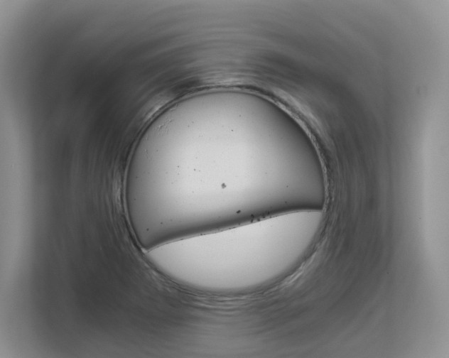 X0000112901273200908211043