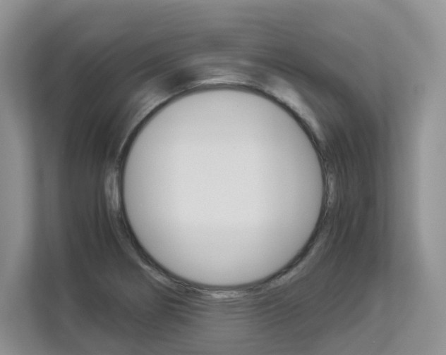 X0000112901274200908211043
