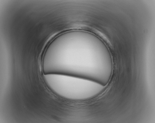 X0000112901275200908211043